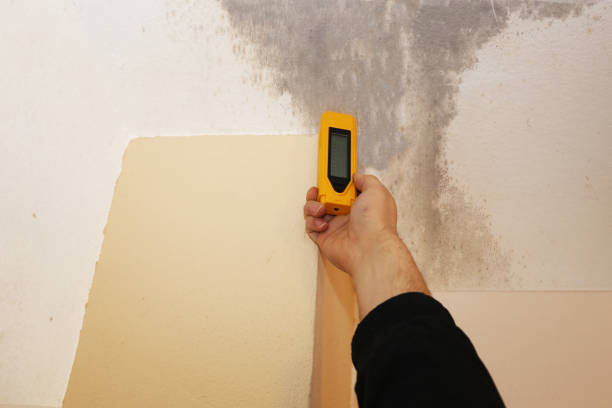 Best Indoor Air Quality Assessment  in Rancho Mirage, CA