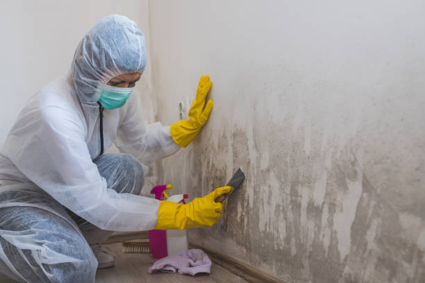 Best Air Quality Testing for Mold Spores  in Rancho Mirage, CA