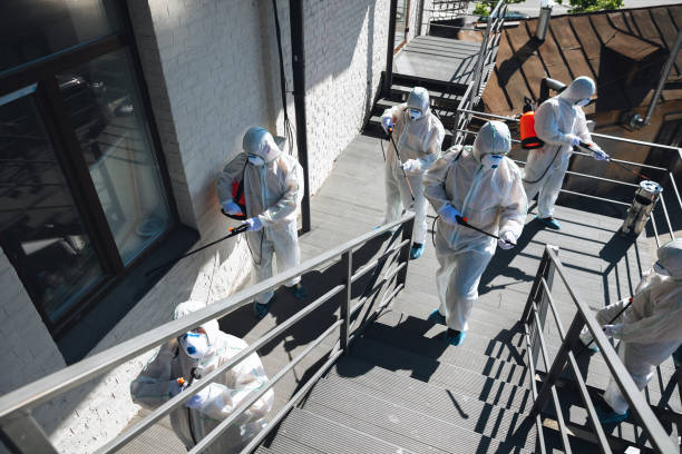 Best Mold Odor Removal Services  in Rancho Mirage, CA