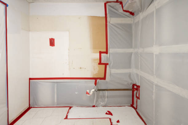 Best Real Estate Mold Inspection  in Rancho Mirage, CA