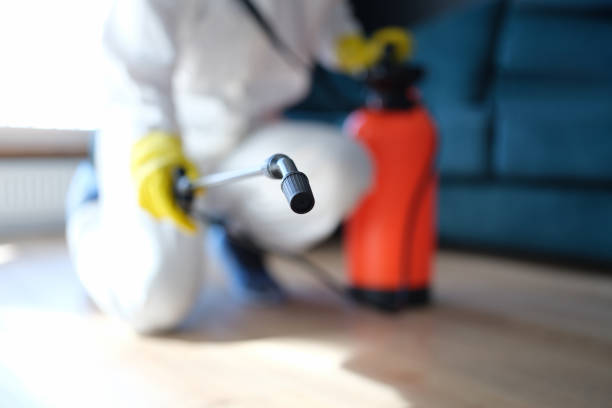 Best Water Damage & Mold Remediation  in Rancho Mirage, CA