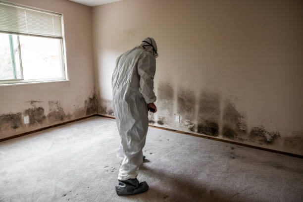 Best Crawl Space Mold Remediation  in Rancho Mirage, CA