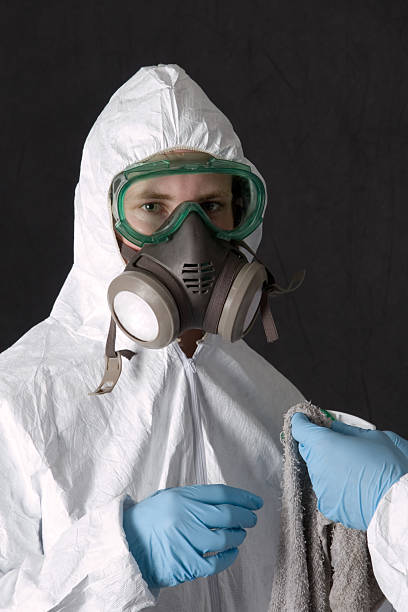 Reliable Rancho Mirage, CA Mold Removal Solutions