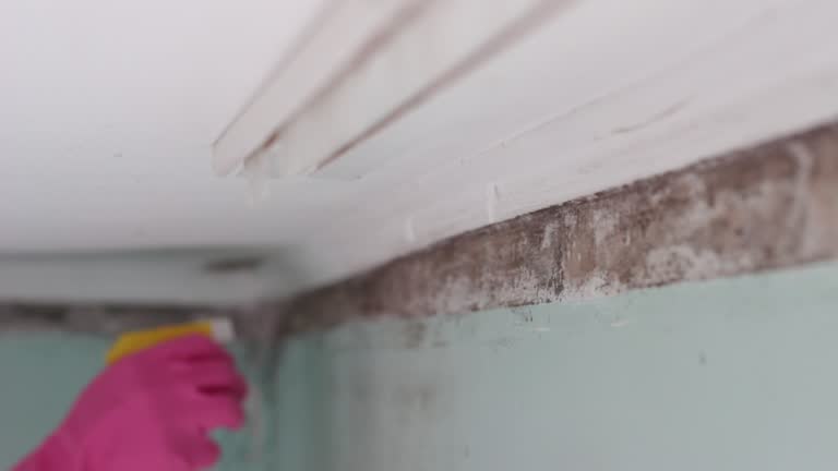 Best Mold Prevention Services  in Rancho Mirage, CA